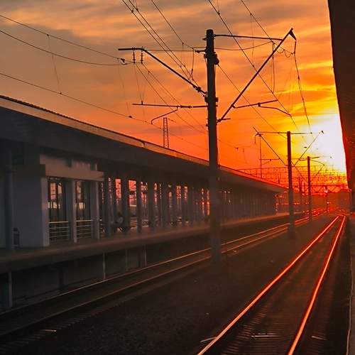 Photo #13364339