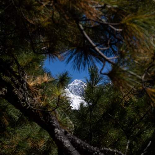 Photo #13364385