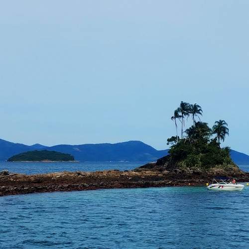 Photo #13364389