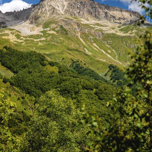 Photo #13364454