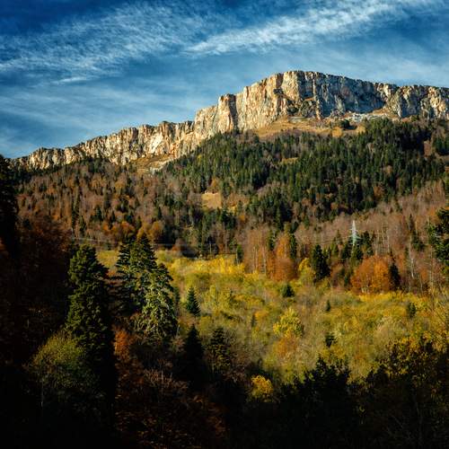 Photo #13364456