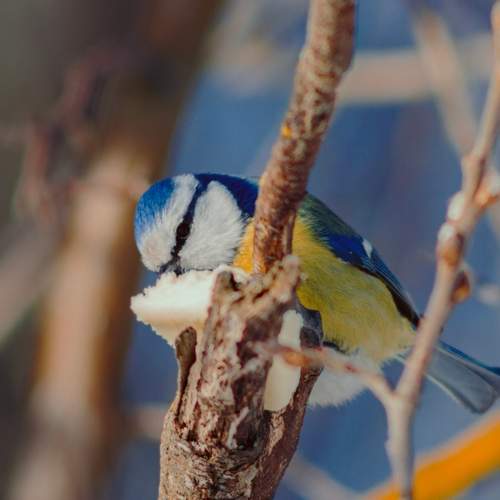 Photo #13364475
