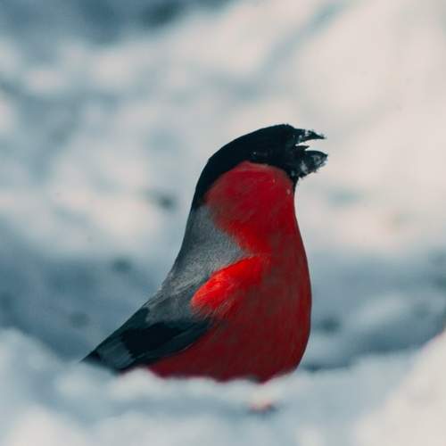 Photo #13364476