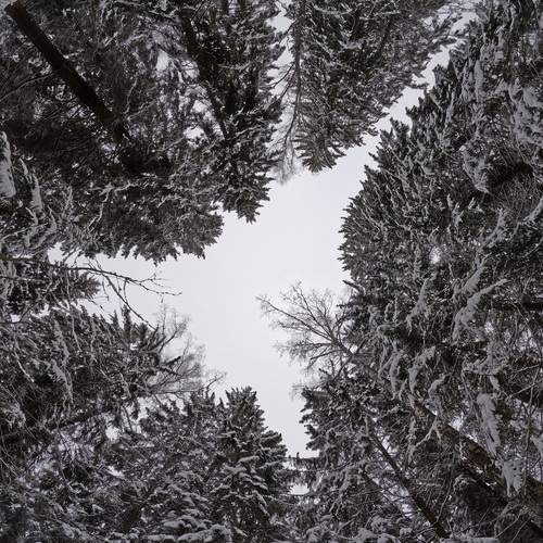 Photo #13364557