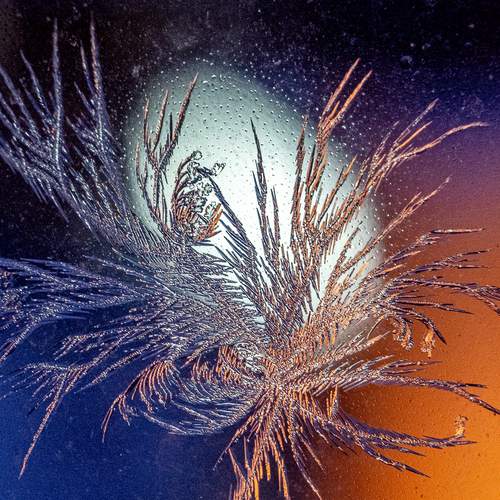 Photo #13364565