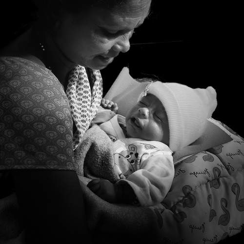Photo #13364602