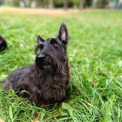 Photo #13364606