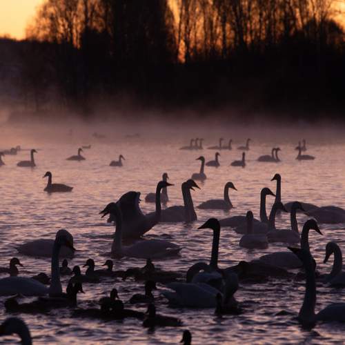 Photo #13364708
