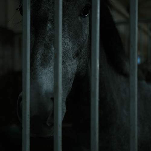 Photo #13364798