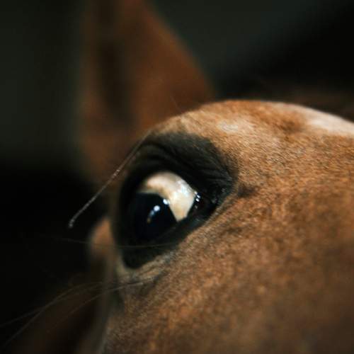 Photo #13364813