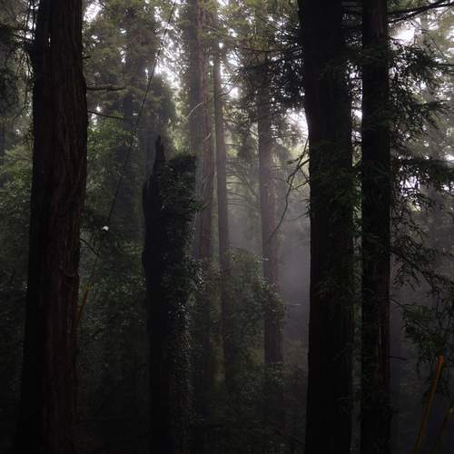 Photo #13364821
