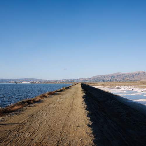 Photo #13364850