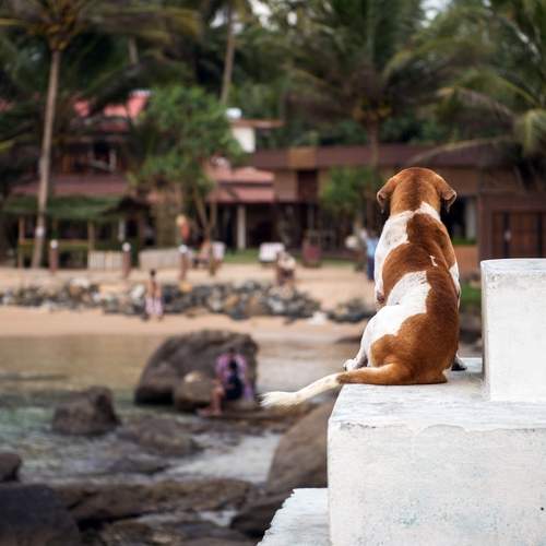 Photo #13364886