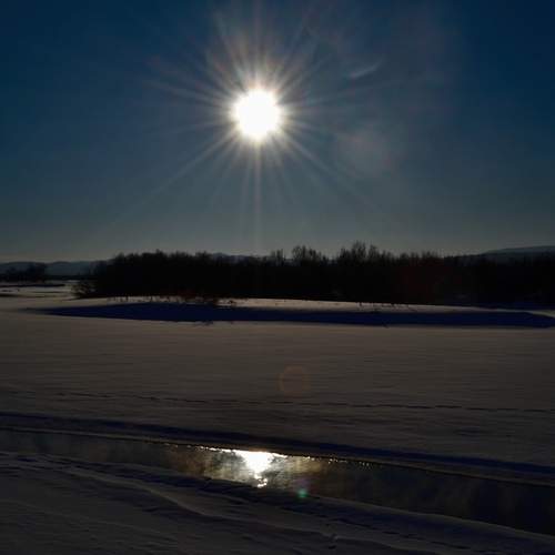 Photo #13364944