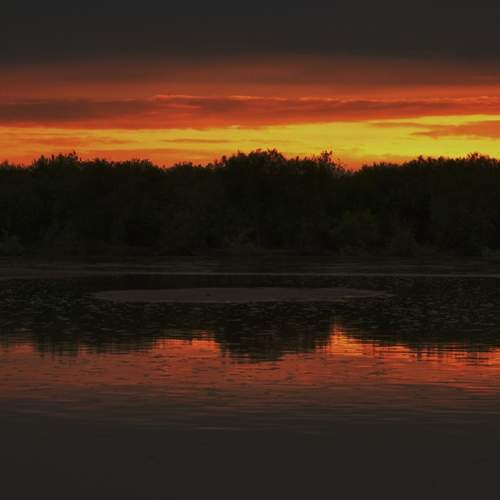 Photo #13364945