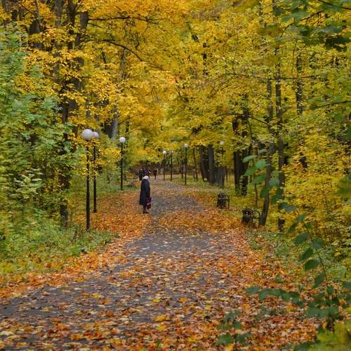 Photo #13365031