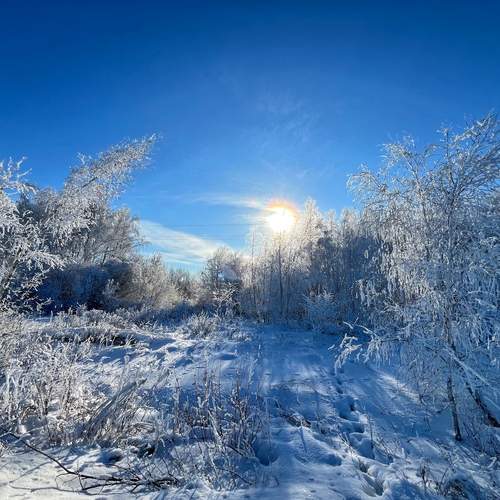Photo #13365056