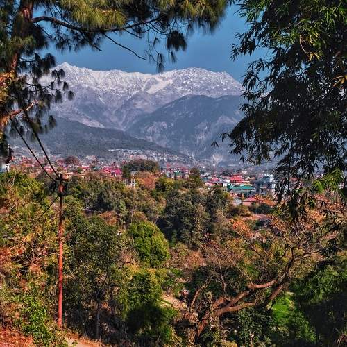 Mountain Serenity Above the Valley