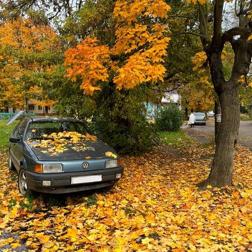 Photo #13365079