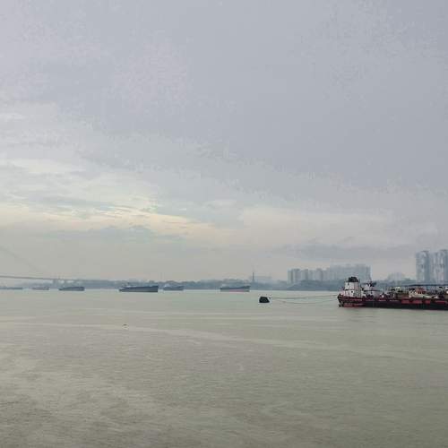 Photo #13365101