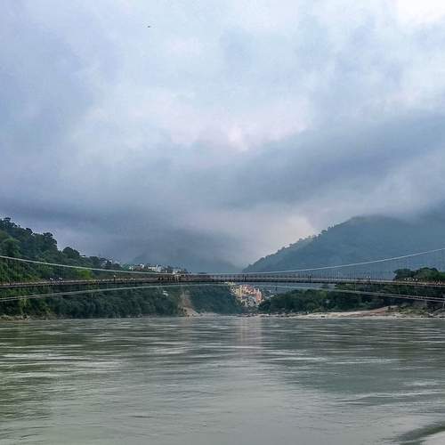 Photo #13365135