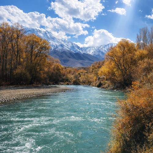 Photo #13365218