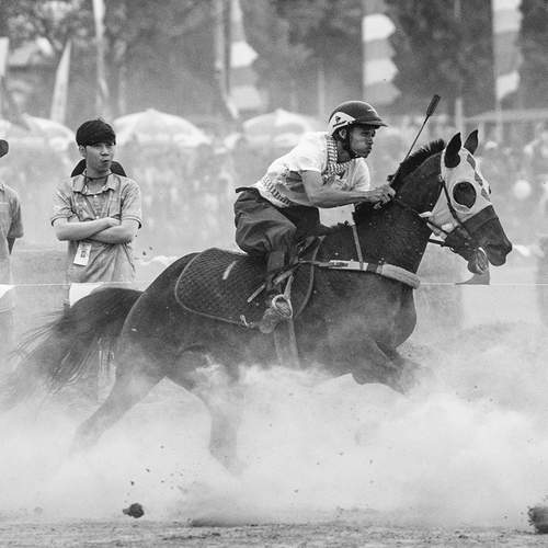 Фотография #13365236