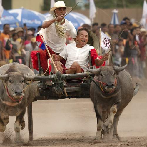 Фотография #13365283