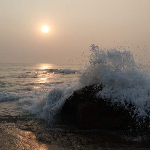 Photo #13365302