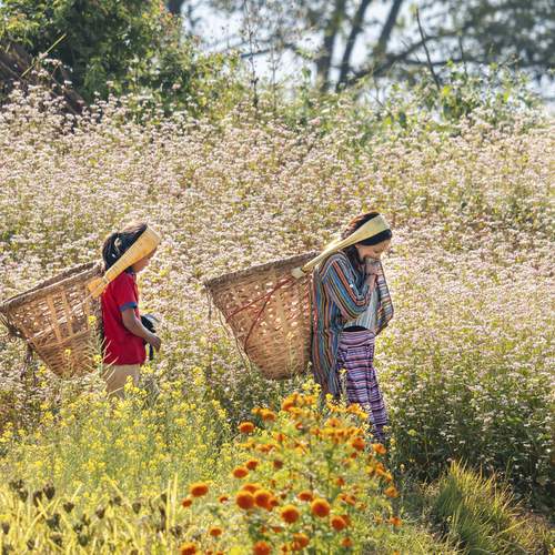 Фотография #13365325