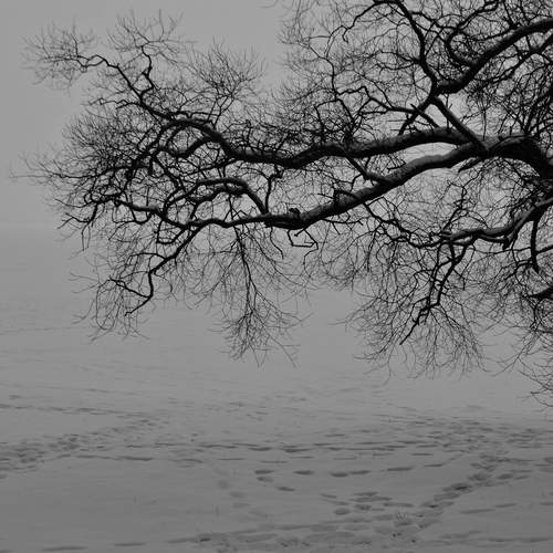 Photo #13365354