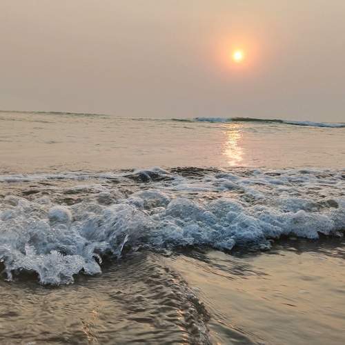 Photo #13365362