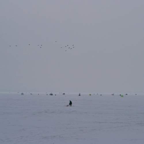 Photo #13365382