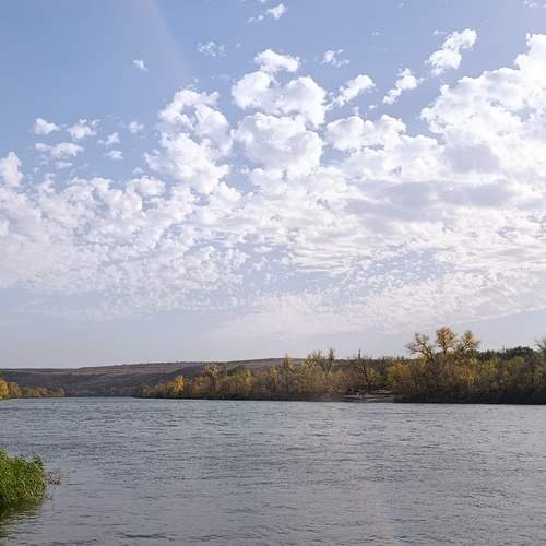 Photo #13365401
