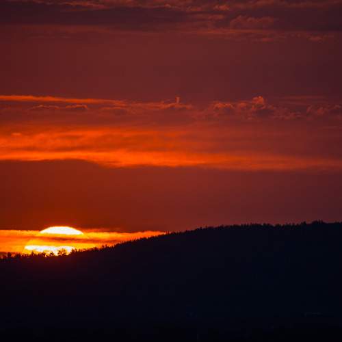 Photo #13365441