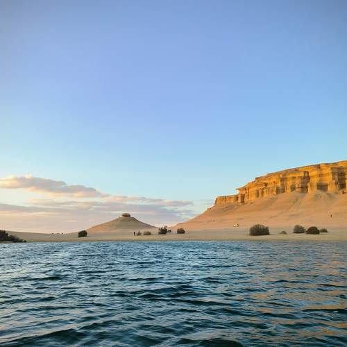 Golden Oasis Serenity