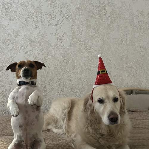 Photo #13365612