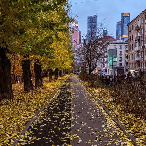Photo #13365674