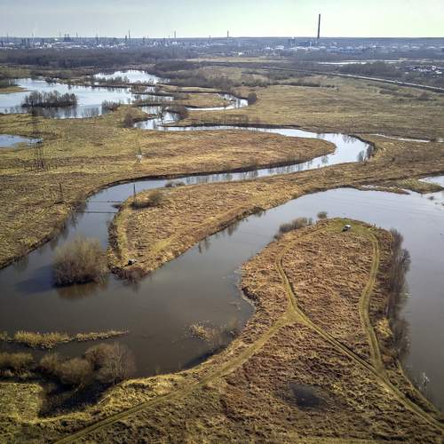 Photo #13365682