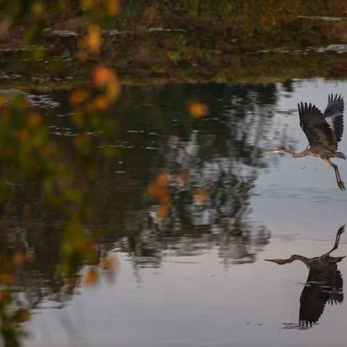 Photo #13365855
