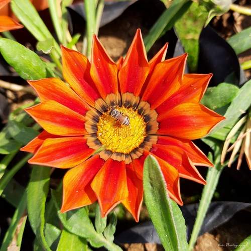 Photo #13365868