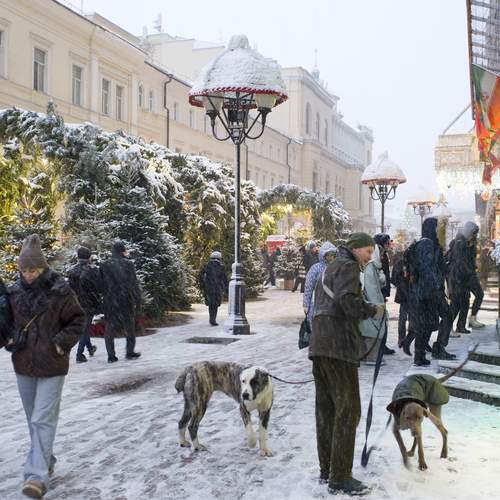 Photo #13365942