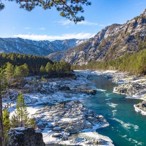 Photo #13365985