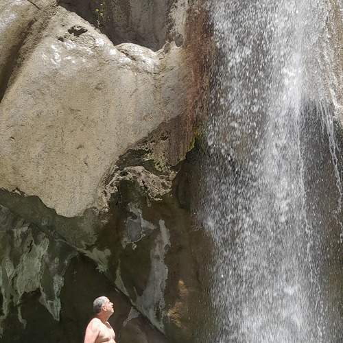 Photo #13366057