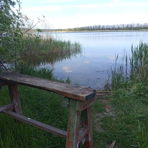 Photo #13366081
