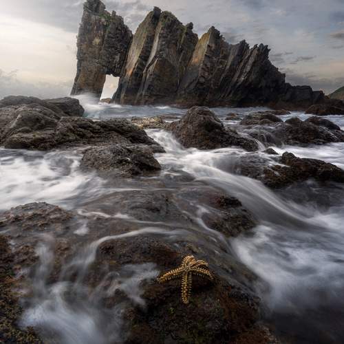 Фотография #13366093