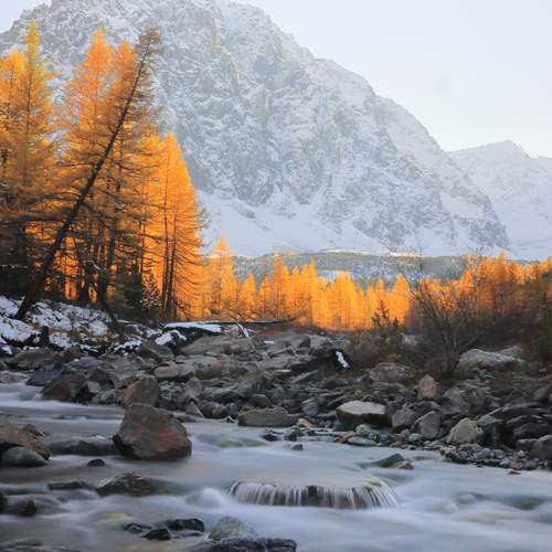 Актру на закате