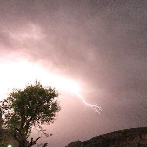 Photo #13366156