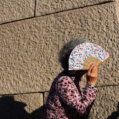 Photo #13366169