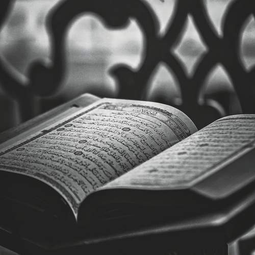Photo #13366175